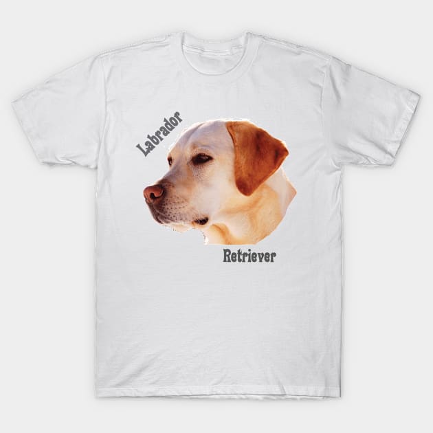 Dog breeds - Labrador Retriever T-Shirt by Hujer